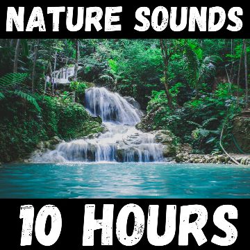 Nature Sounds - 10 Hours