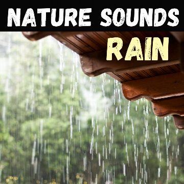 Nature Sounds - Rain