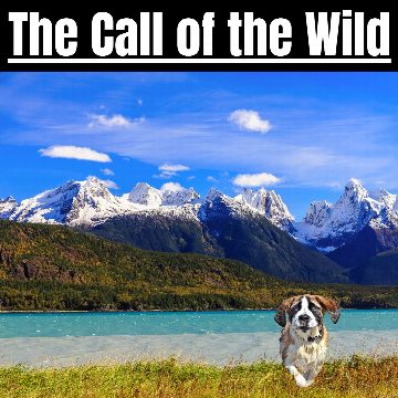The Call of the Wild - Jack London